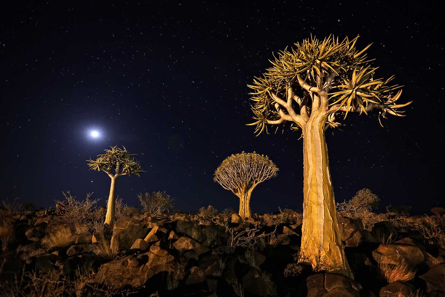 Weekly inspiration 17 of the best Low Light photos from the Sony